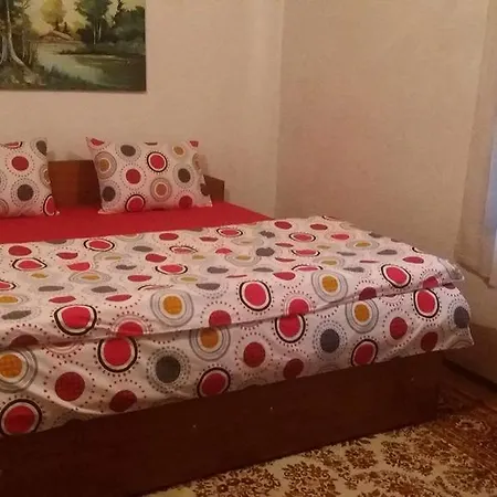 Villa Danica House à Krivolak Extérieur photo