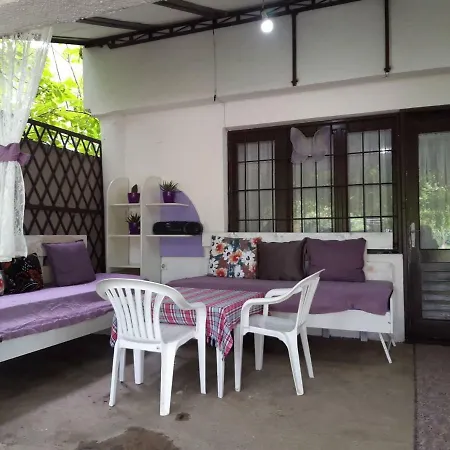 Villa Danica House à Krivolak Extérieur photo