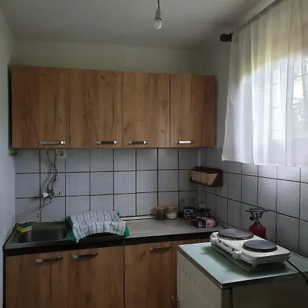 Villa Danica House à Krivolak Extérieur photo