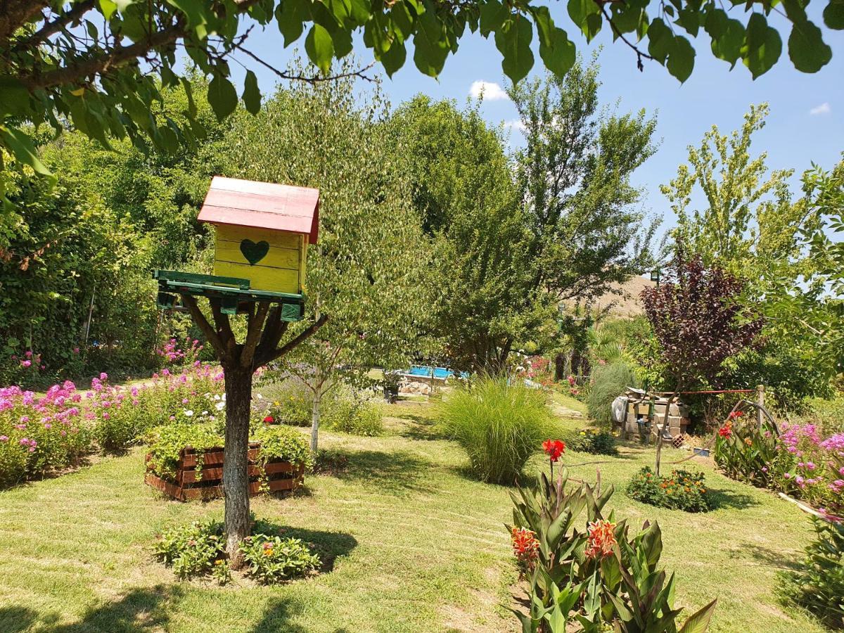 Hébergement de vacances Danica House
